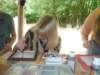 tanyatabor_2021_1_184_small.jpg