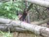 tanyatabor_2021_2_091_small.jpg